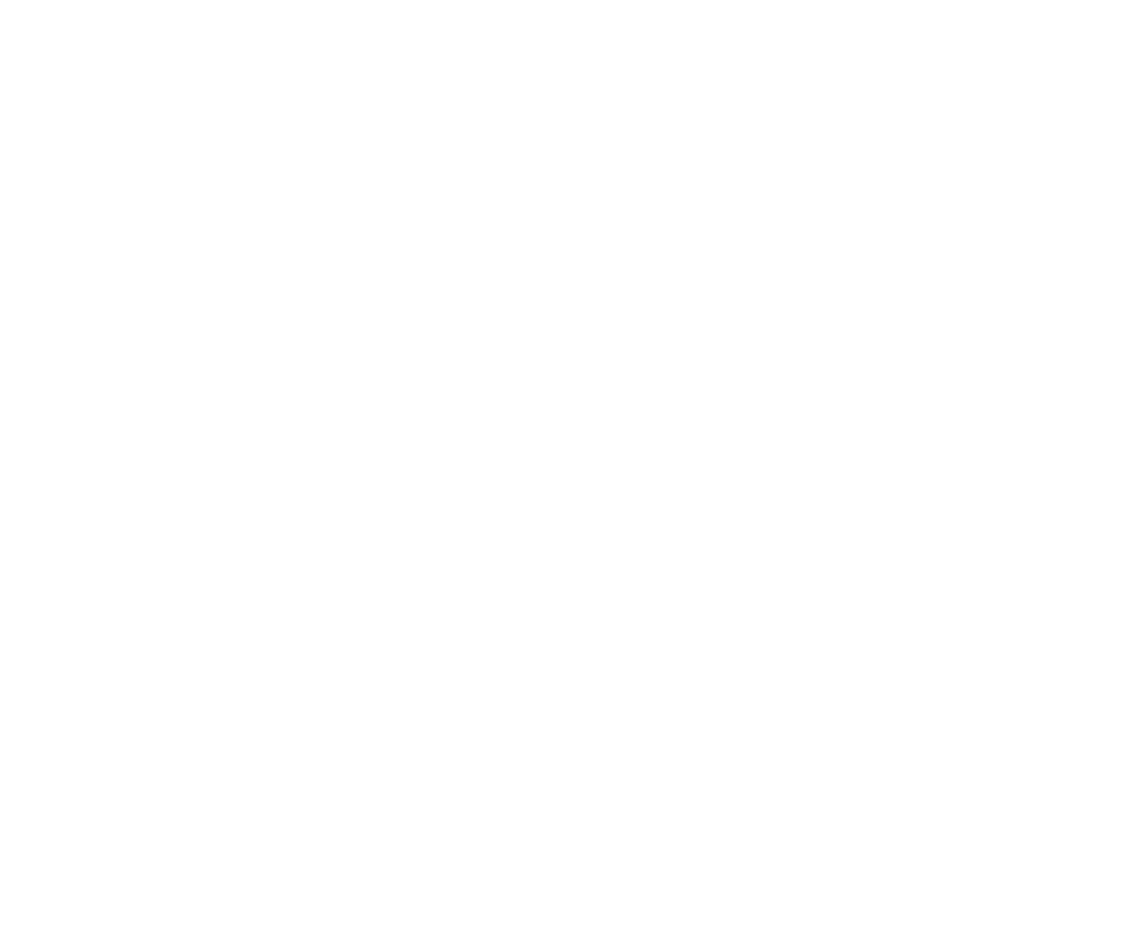 Logo Blanc